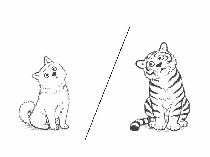 Just a ‘Dog Dream’? Why Tigers Rule the Korean Dream World