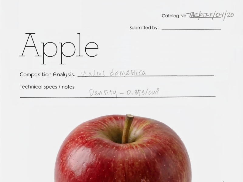 Apple, From Eden to Innovation